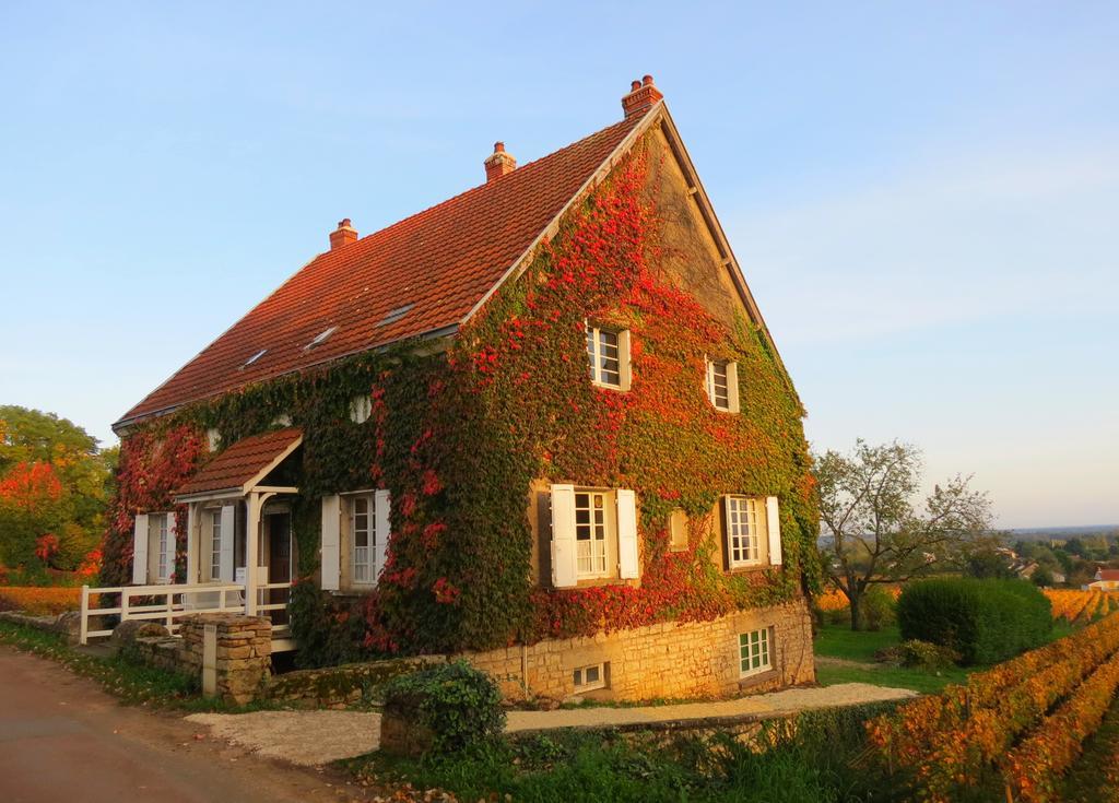 La Passerelle Des Corton B&B Aloxe-Corton Exteriér fotografie