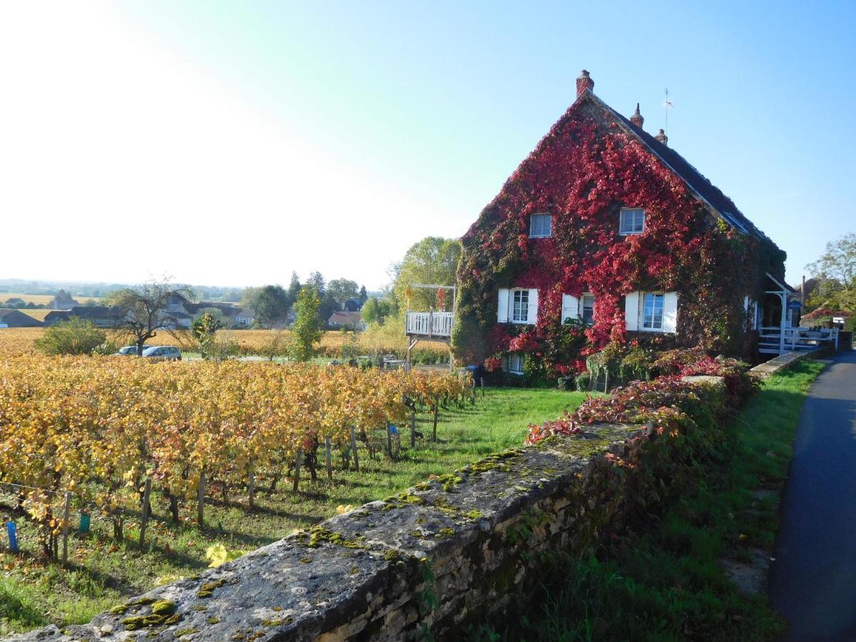 La Passerelle Des Corton B&B Aloxe-Corton Exteriér fotografie