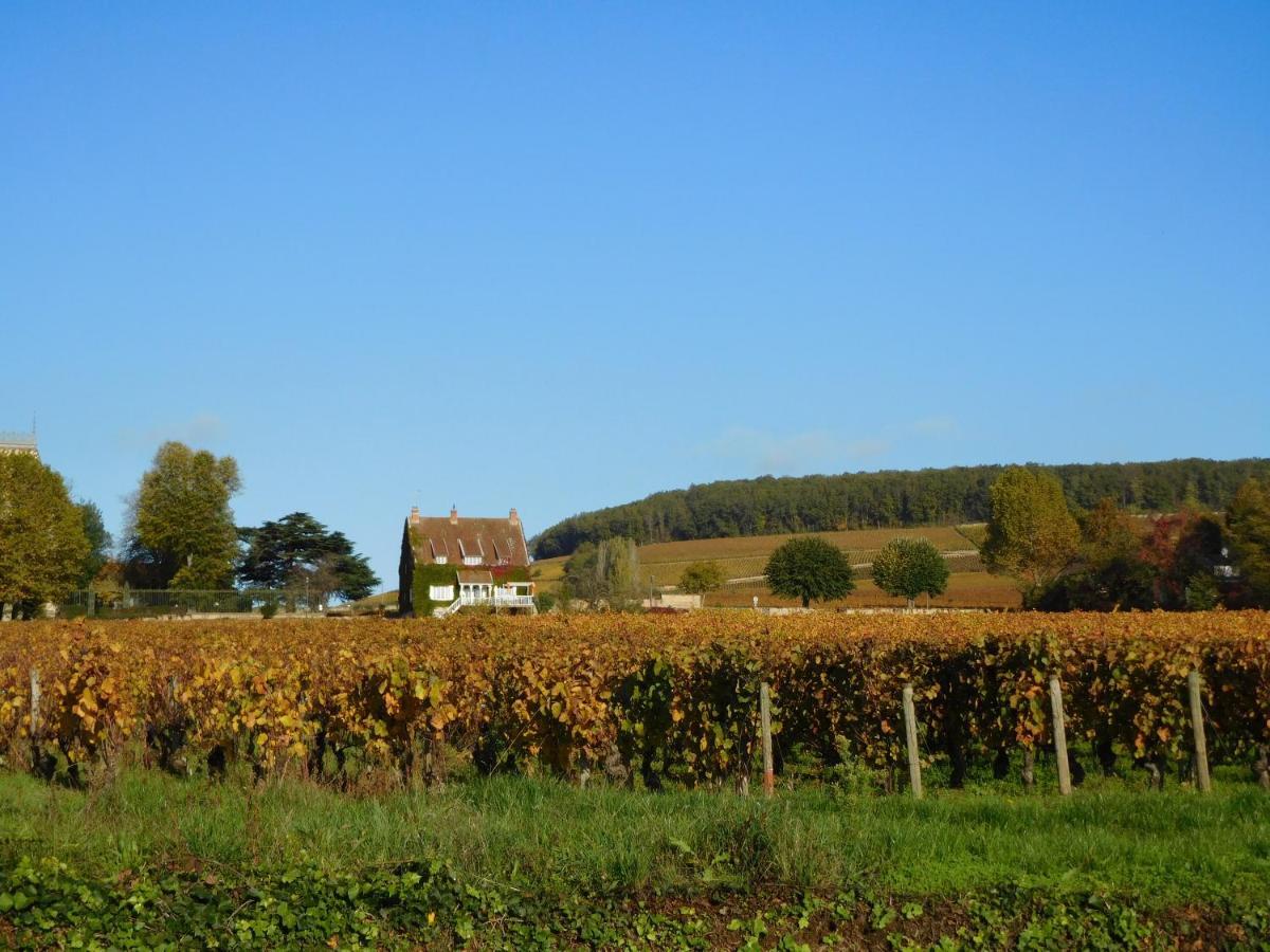 La Passerelle Des Corton B&B Aloxe-Corton Exteriér fotografie